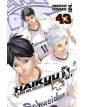 Haikyu!! 43