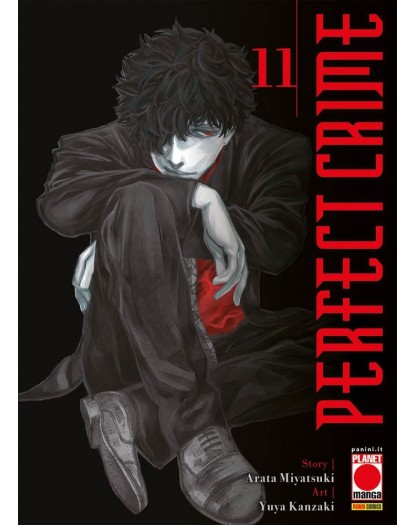 Perfect Crime 11