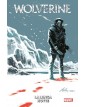 Wolverine: La lunga notte