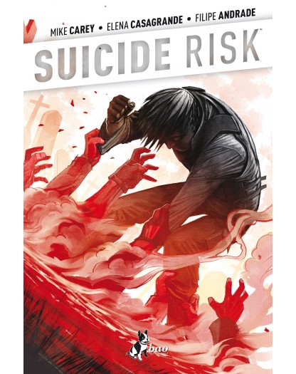 Suicide Risk 4