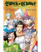 Black Clover: Il libro dei cavalieri