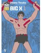 Big X 1