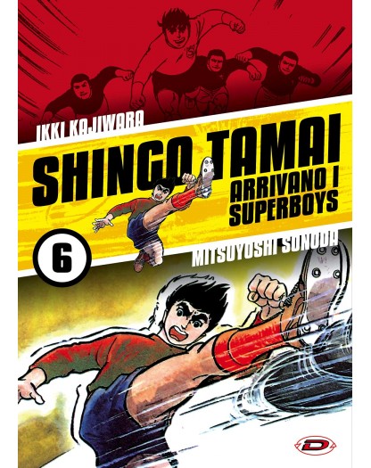 Arrivano i Superboys 6