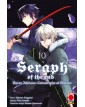 Seraph of the End Guren Ichinose: Catastrophe at Sixteen 10