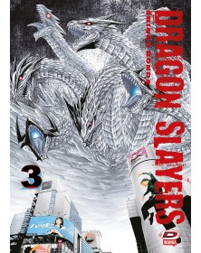 Dragon Slayers 3