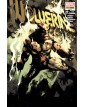 Wolverine 20