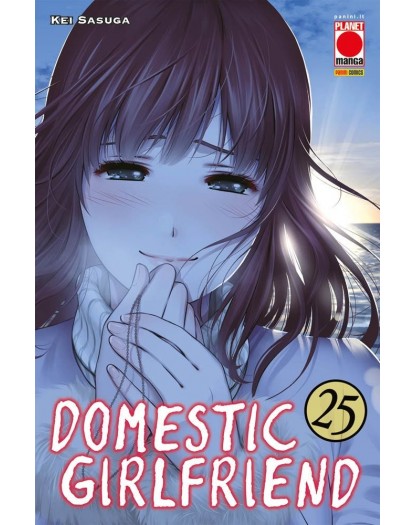 Domestic Girlfriend 25