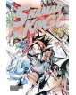 Shaman King Final edition 24