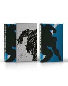 Batman: Il Cavaliere Oscuro di Frank Miller