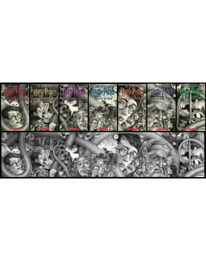 Harry Potter - Collezione Completa con Copertine di Brian Selznick
