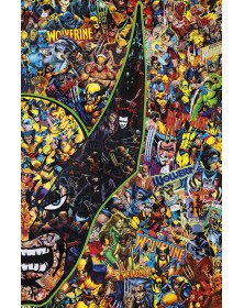 X Lives/X Deaths of Wolverine 2 - Variant