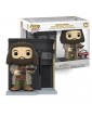 Harry Potter POP! Deluxe - Diagon Alley Hagrid With The Leaky Cauldron (Special Ed.) - Figure 141