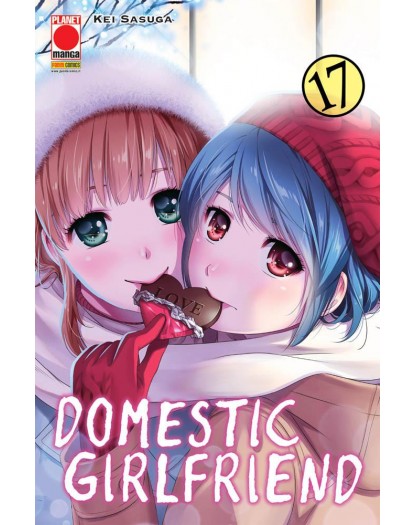 Domestic Girlfriend 17