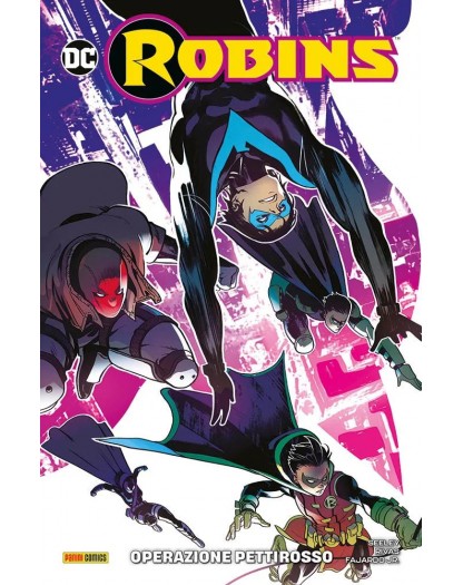Robins: Il segreto del primo ragazzo meraviglia