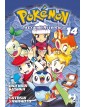 Pokémon La grande avventura 14