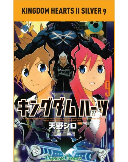 Kingdom Hearts II Silver 9