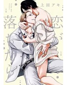 Quando l’Amore Cade dal Cielo – Koi ga Ochitara – Flashbook – Italiano