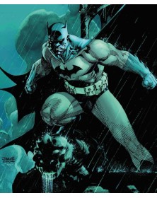 Dc Absolute - Batman: Hush - Panini Comics - Italiano