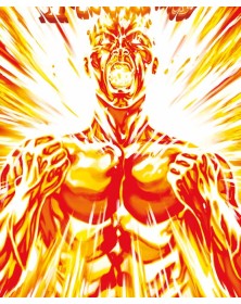 Fantastici Quattro Vol. 9 – Fiamma Eterna – Marvel Collection – Panini Comics – Italiano