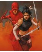 Daredevil  & Echo: Male Antico – Marvel Collection – Panini Comics – Italiano