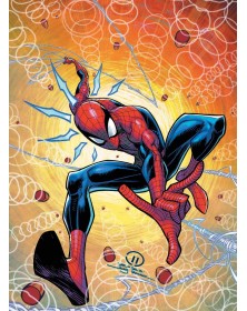 Amazing Spider-Man :  Gang War – Le guerre di Bande - Marvel Collection – Panini Comics – Italiano