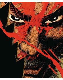 Dc Absolute : Ronin   – Panini Comics – Italiano