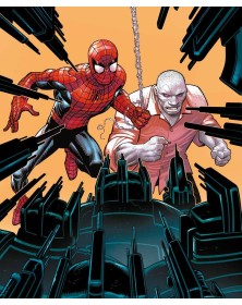 Amazing Spider-Man 41– L’Uomo Ragno 841 – Variant - Panini Comics – Italiano