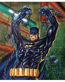 Batman : Shadow of the Bat Vol. 1  – Panini Comics – Italiano