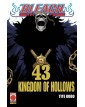Bleach 43 – Seconda Ristampa – Panini Comics – Italiano