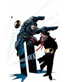 Batman di Ed Brubaker Vol. 1: Senza paura  – Panini Comics – Italiano