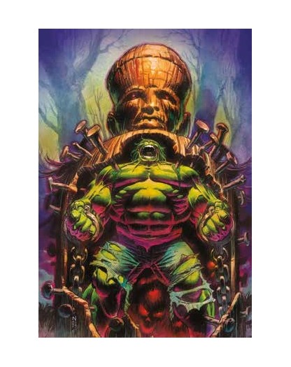 L’Incredibile Hulk Vol. 13 – Marvel Masterworks – Panini Comics – Italiano