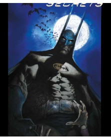 Batman: Segreti E Follia - Panini Comics - Italiano
