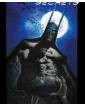 Batman: Segreti E Follia - Panini Comics - Italiano