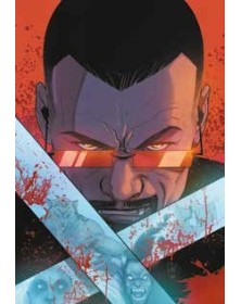 Blade Vol. 2: Male Contro Male – Panini Comics – Italiano