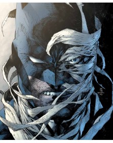 Dc Pocket Collection Batman : Hush – Panini Comics – Italiano