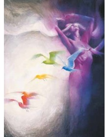 DC Limited Collector's Edition Black Orchid – Panini Comics – Italiano