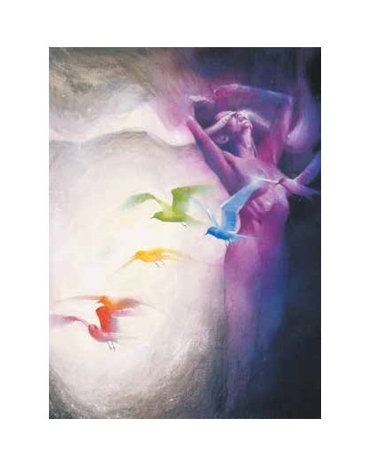 DC Limited Collector's Edition Black Orchid – Panini Comics – Italiano