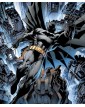Dc Absolute All-Star Batman & Robin, Il Ragazzo Meraviglia – Panini Comics – Italiano