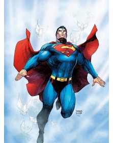 Dc Absolute Superman: Per il domani – Panini Comics – Italiano