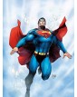 Dc Absolute Superman: Per il domani – Panini Comics – Italiano