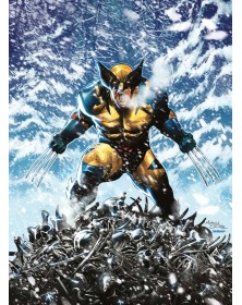 Wolverine 1 – ADAMANTIUM VARIANT -  Panini Comics – Italiano