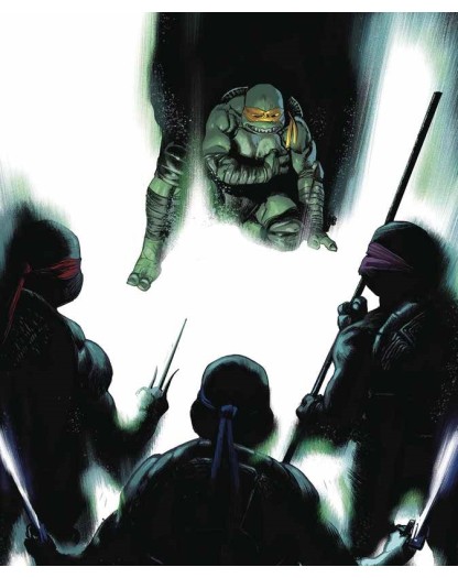 Teenage Mutant Ninja Turtles 2 – Panini Comics – Italiano