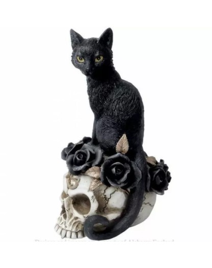 Gatto nero Strega familiare teschio rosa gattino - Alchemy Gothic