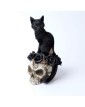Gatto nero Strega familiare teschio rosa gattino - Alchemy Gothic