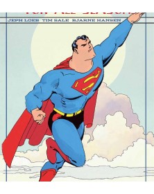 Dc Absolute Superman : Stagioni  – Panini Comics – Italiano