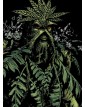 Swamp Thing Di Alan Moore Vol. 4 – Panini Comics – Italiano