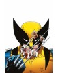 Wolverine ( Vendetta 2) di 3 – Panini Comics – Italiano