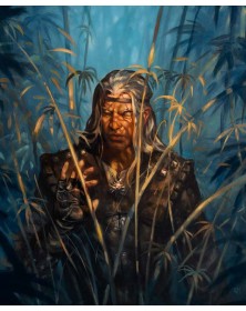 The Witcher : Il Confine Del Mondo – Panini Comics – Italiano