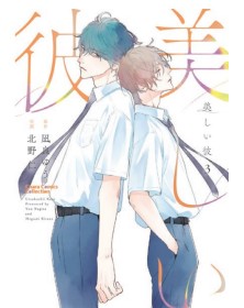 My Beautiful Man 3 – Linea 801 – Magic Press – Italiano