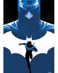 Nightwing Vol. 8 - Gioco di Squadra -  Comics Special – Panini Comics – Italiano